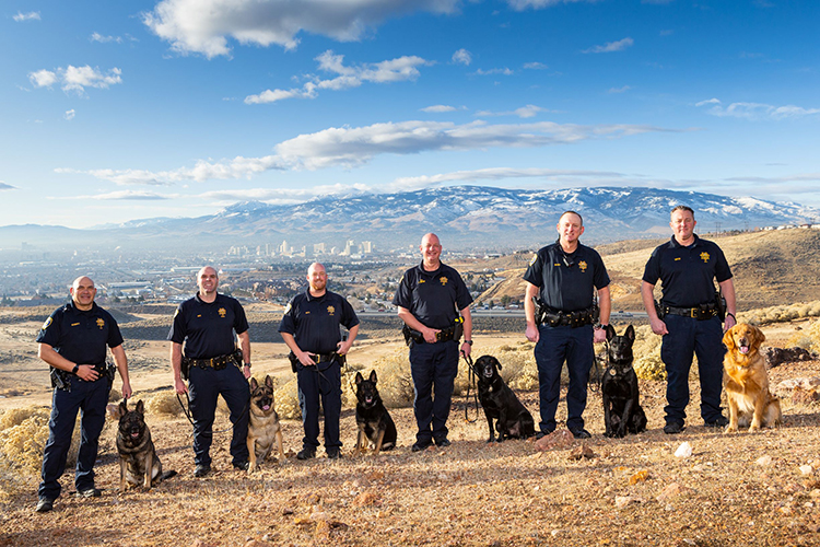 K9's and thier handlers'